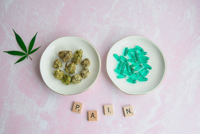image of cannabis flower on a plate and image of cannabis pills on a plate